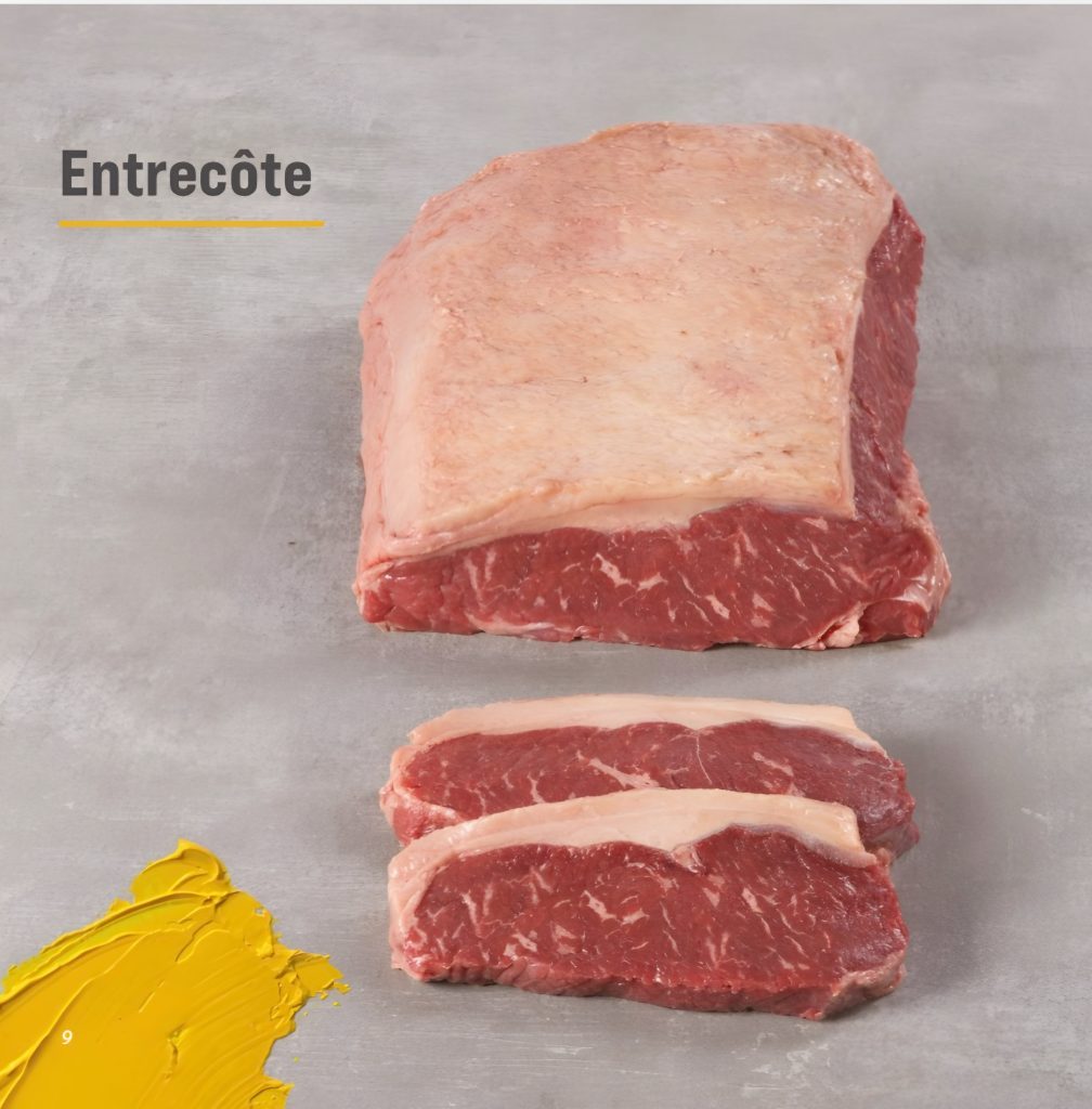 TAURUS Gold (controfiletto)